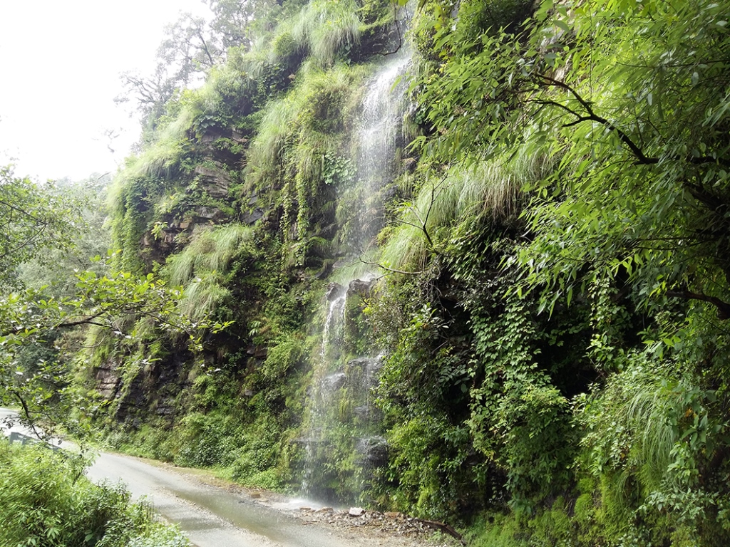 Uttarakhand Villagers harvest rainwater, recharge springs, avoid long ...