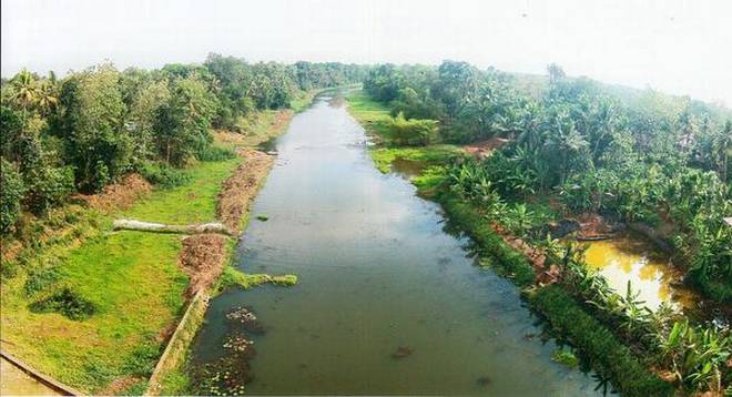 Tributary  Urdu Meaning of Tributary