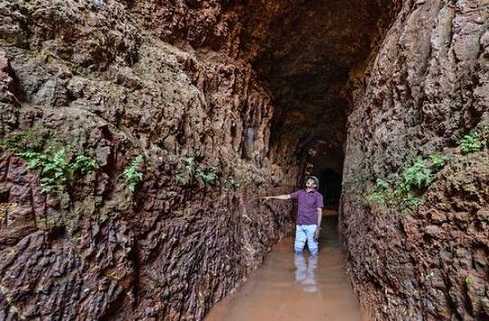 Explore local culture, food and nature on a natural farm and experience  memories of a lifetime in Bhalki, Bidar district of Karnataka, India