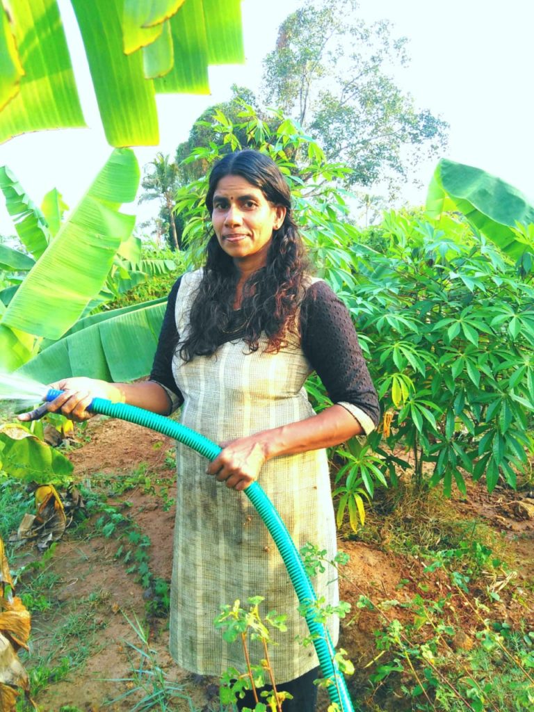 Woman Collects Fish Waste From Stalls, Turns It Into ‘Fertifish’ to Grow Organic Veggies