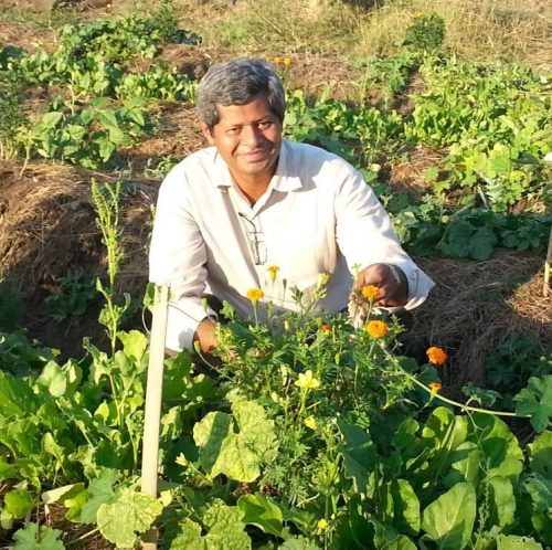 At the Age of 50, This Man Decided to Give up His Successful Business to Take up Farming