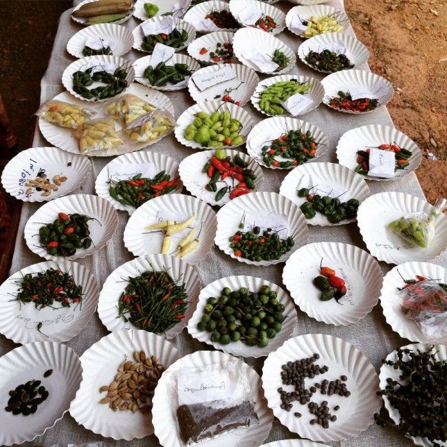 PhotoStop: ‘Organic’ reach at Fair Trade Alliance Kerala’s Seed Fest 2015