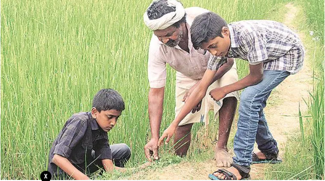 A living gene bank - Vikalp Sangam