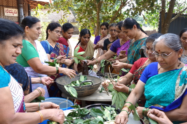 परंपरागत बीजों से महामारी का मुकाबला (in Hindi)