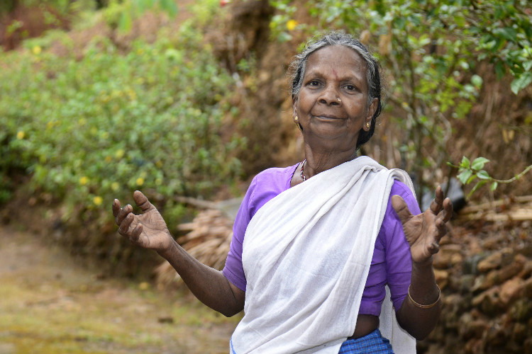 750px x 500px - Grandmother of the jungle: This Kerala tribal woman can prepare 500  medicines from memory - Vikalp Sangam