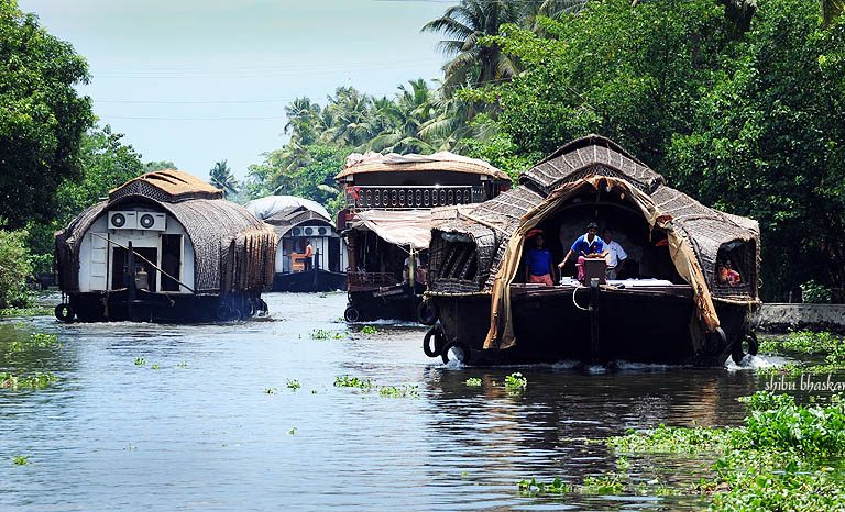 Social Media aiding Conservation of Wetlands in Kerala - Vikalp Sangam