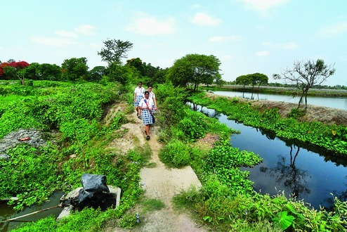 Schoolchildren turn wetland warriors