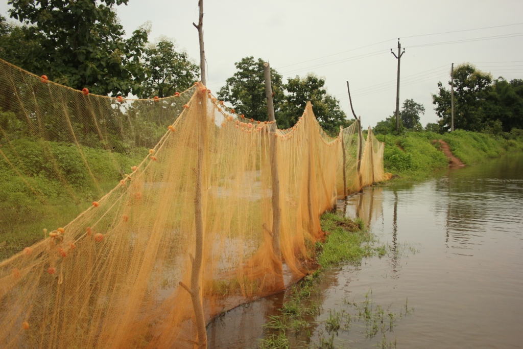 Fishing for a Difference - Vikalp Sangam