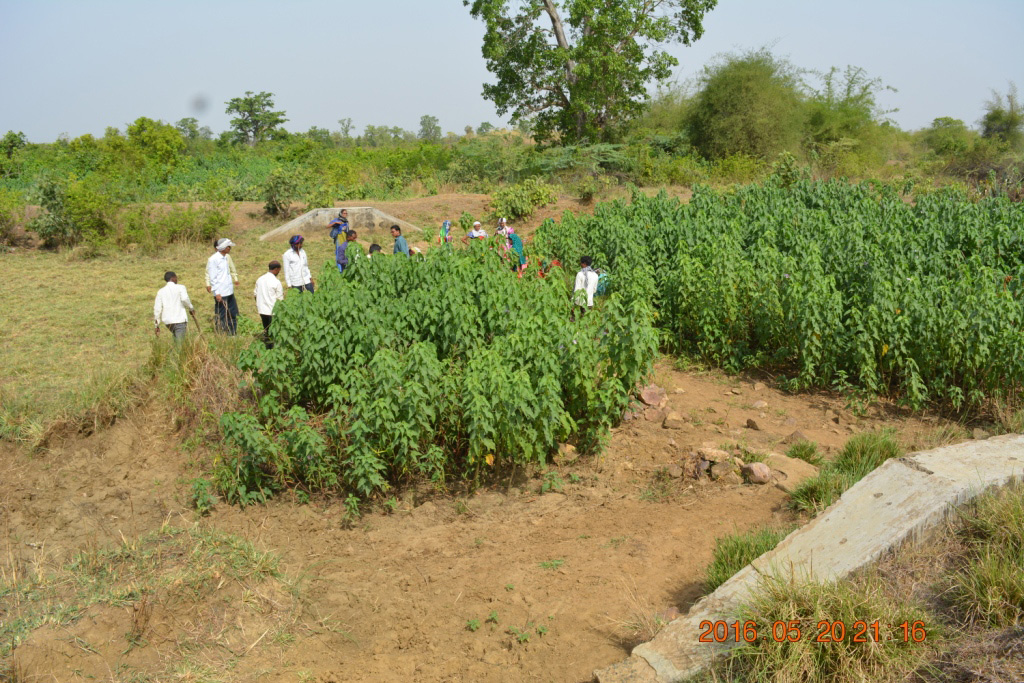 Hard Waste Polyester Fishing Net at Rs 120/piece, मछली पकड़ने का जाल in  Surat