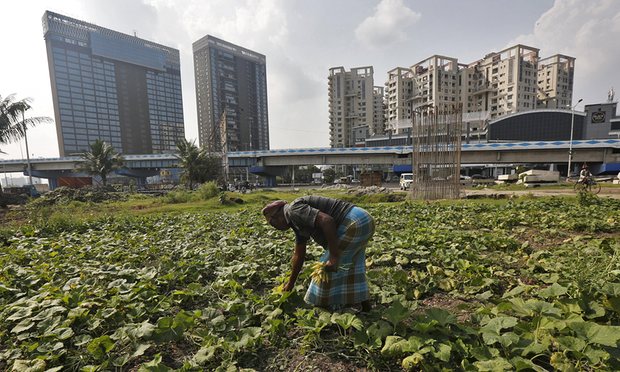 The miracle of Kolkata's wetlands – and one man's struggle to save them -  Vikalp Sangam