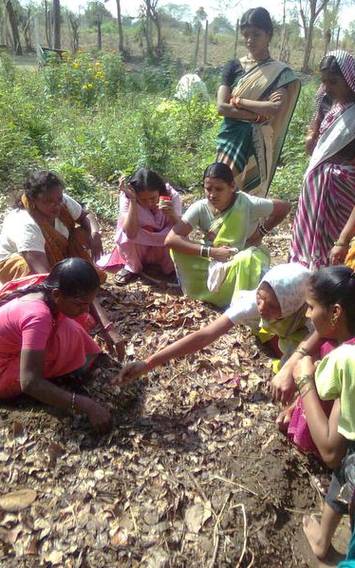 Xxx Halbi Hd Videos - This Diwali women farmers in Maharashtra are sowing seeds of  entrepreneurship - Vikalp Sangam