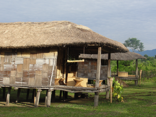 Lure of the homestay