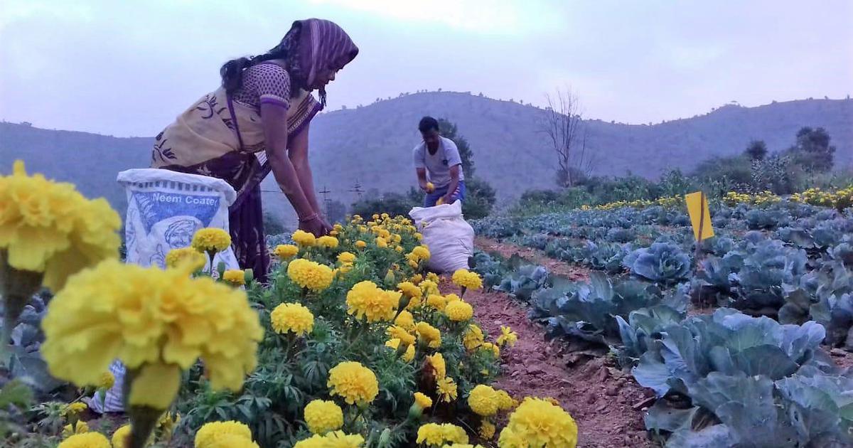 Farmers Or Corporates: Who Benefits From Andhra Pradesh’s Natural ...