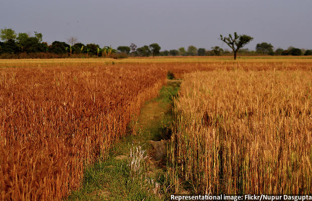 More CO2 In The Atmosphere Produces Food Crops Shorn Of Essential Nutrients