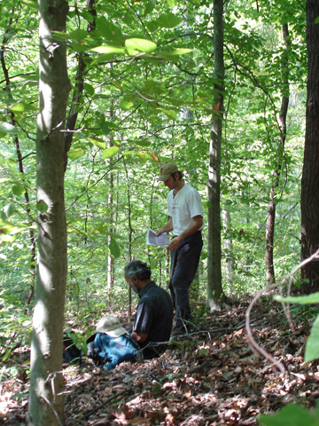 Ecotopia Emerging: sustainable forests and healthy livelihoods go hand-in-hand