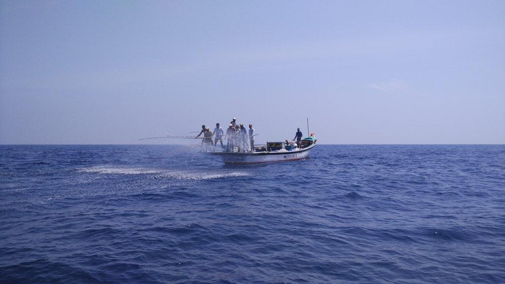 Finding bright spots in a darkening ocean!