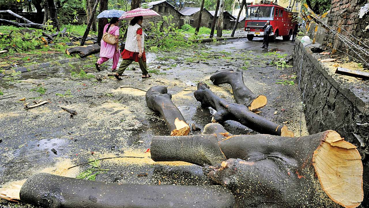 What cities must do to stay sustainable and resilient