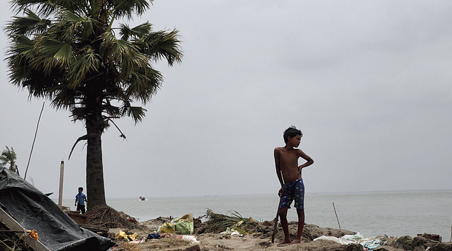 Shifting lives in the mangroves - Vikalp Sangam