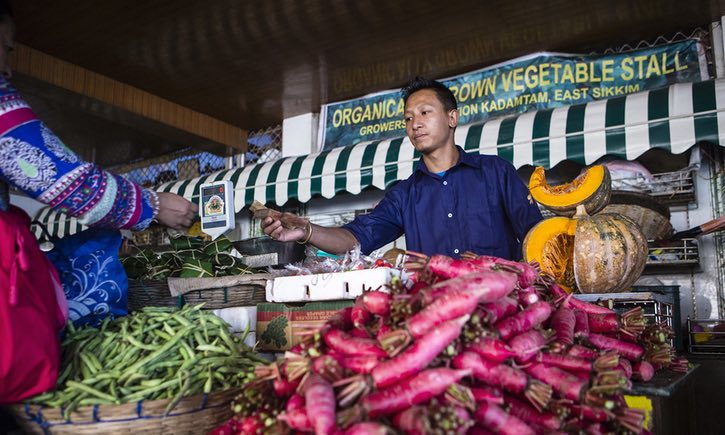 Sikkim's organic revolution at risk as local consumers fail to buy into project