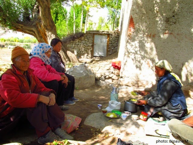 Being Down-to-Earth - from a Ladakh Diary