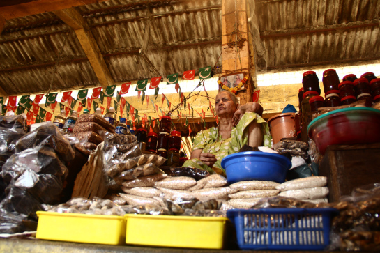 Fishing Reels at Rs 1000/piece, Mapusa