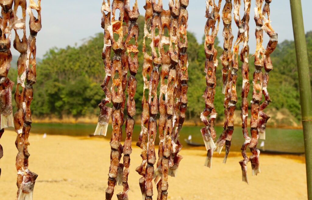 The Myntdu River, once abundant with fish, remains lifeless. Much of the fish now comes from neighboring Bangladesh.