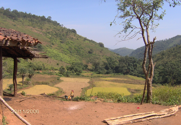 Dongria have a taboo on cutting forest on the summits