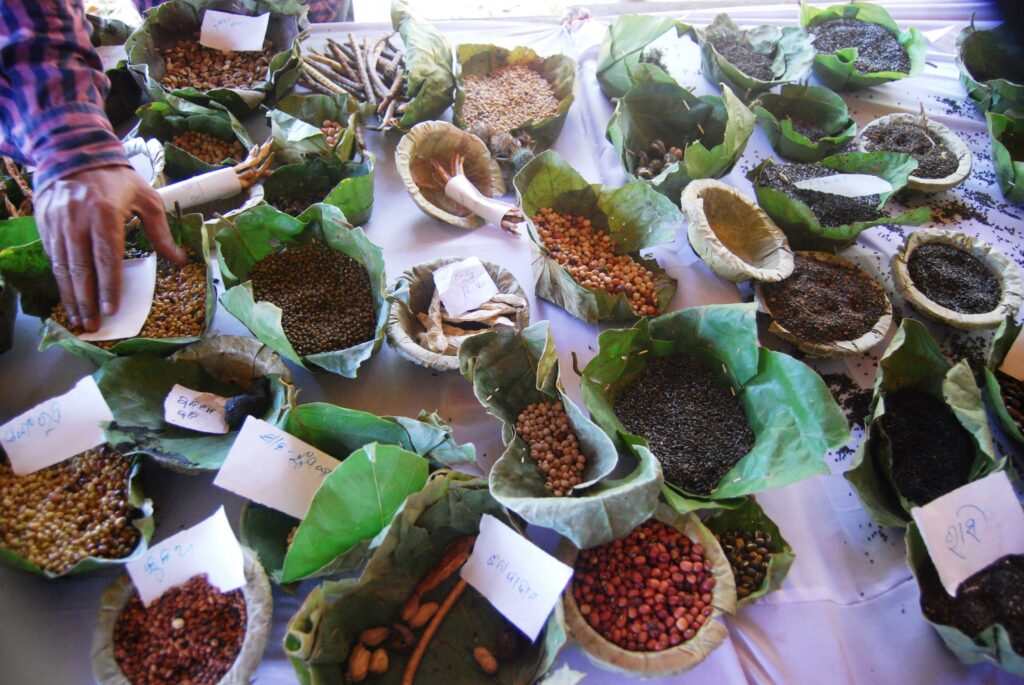 The Rich Diversity Of Forest Foods Vikalp Sangam